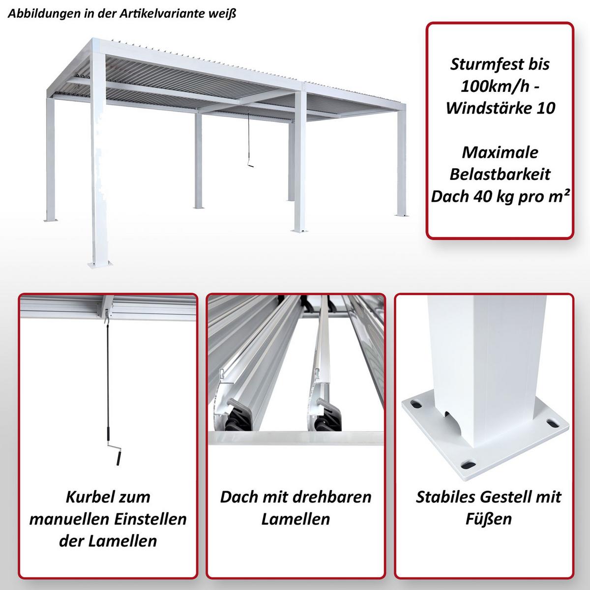PERGOLA Anthrazit - Anthrazit, Metall (595/220/300cm) - MCW