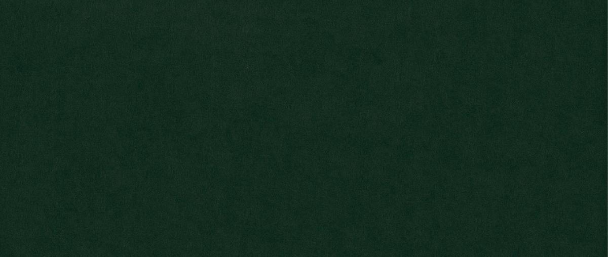 LOUNGESESSEL Duban Grün Samtstoff - Smaragdgrün/Silberfarben, Holz/Textil (84/81/89cm) - S-Style Möbel