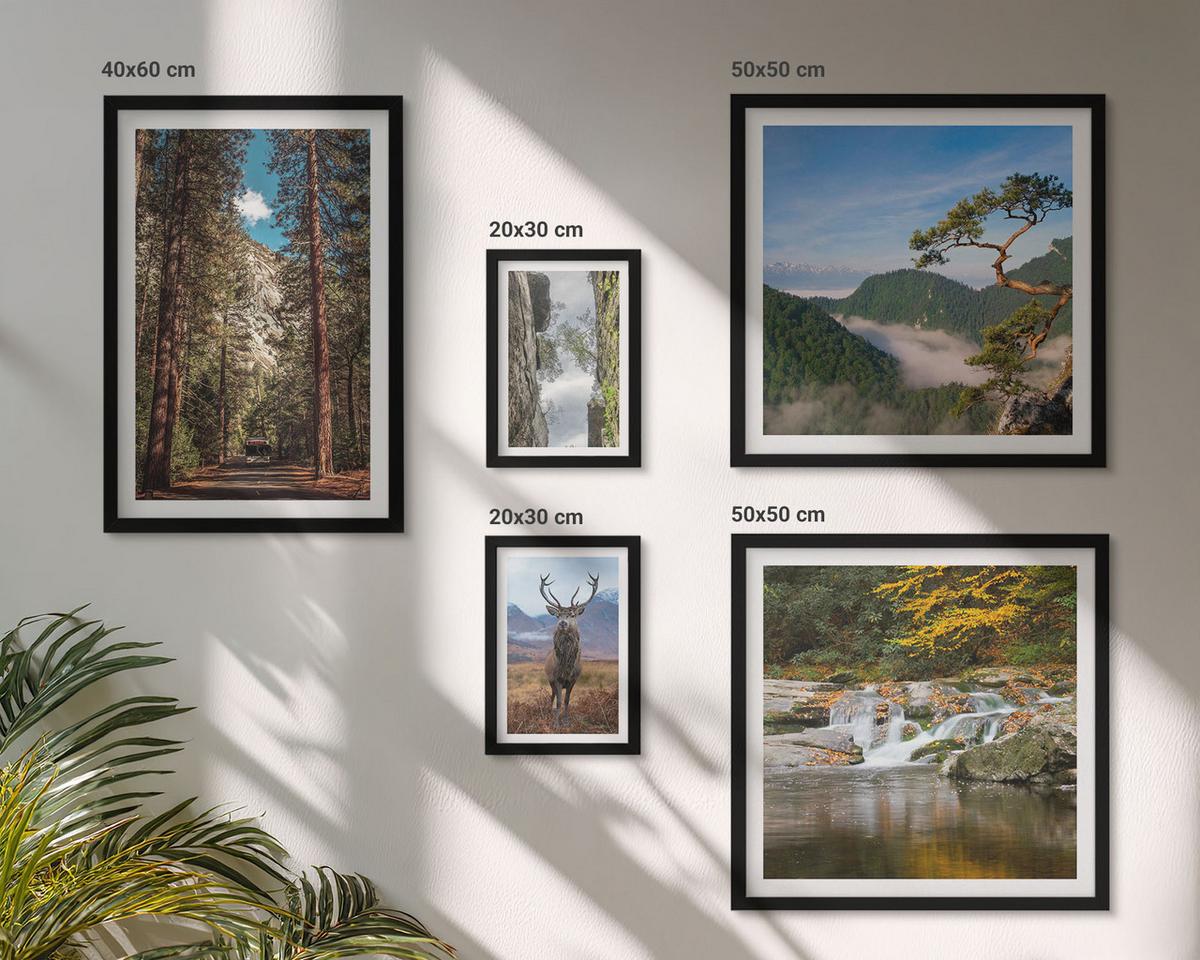 BILDER SET 5er Set - 50x50 cm & 20x30 cm & 40x60 cm Schwarzer Rahmen - Wasserfall Wald Berge Hirsch Natur - Schwarz, Kunststoff (40/60cm) - TULUP