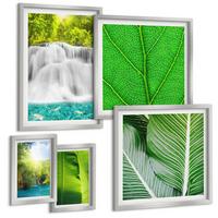 BILDER SET 5er Set - 50x50 cm & 20x30 cm & 40x60 cm Silberner Rahmen - Nahaufnahme von tropischen Blättern - Silberfarben, Kunststoff (40/60cm) - TULUP
