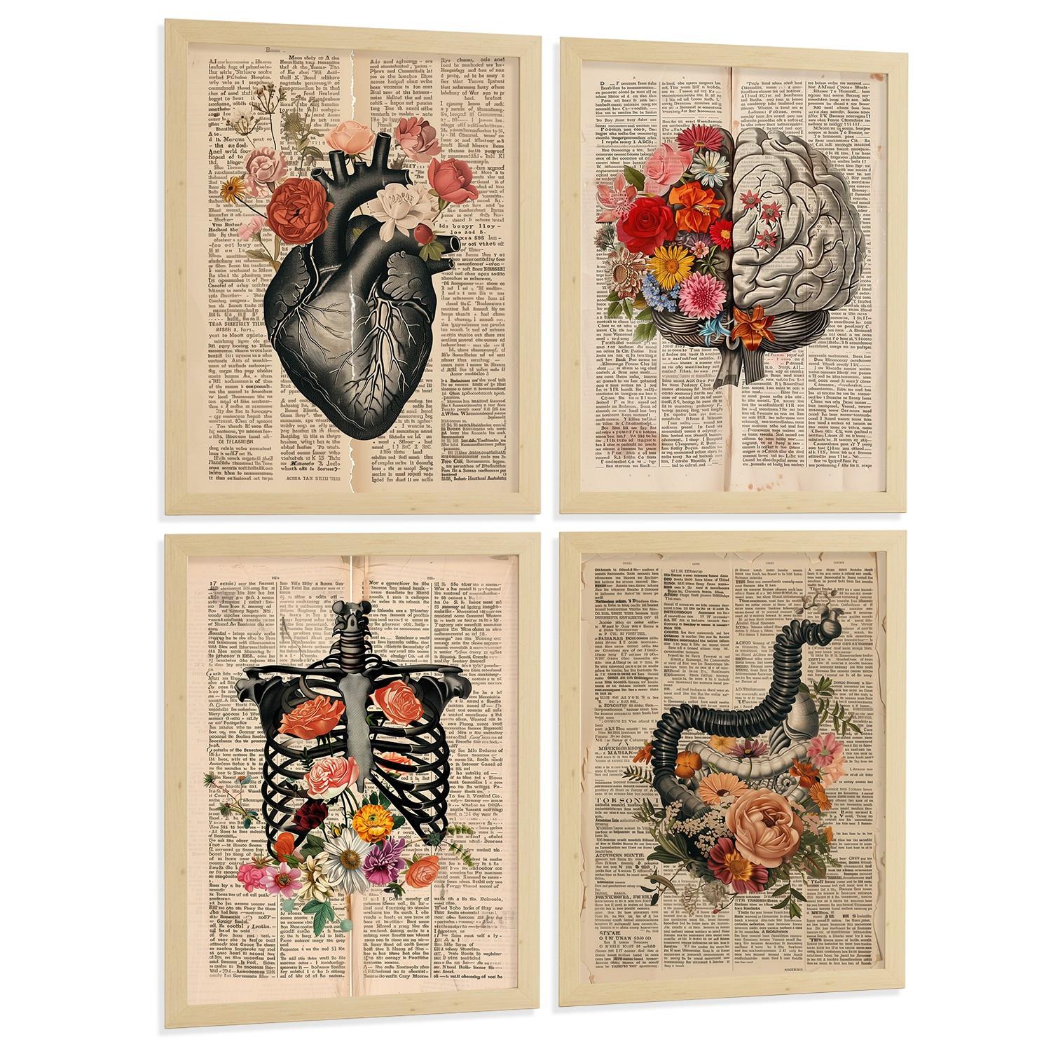 POSTER Set aus 4 Anatomie Drucke und Wandbilder mit Herz Gehirn Skelett und Darm Antiker Hintergrund Wanddekoration Größe Leichter Holzrahmen A4 - Beige, Papier (21/29.7/3cm) - Nacnic