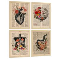 POSTER Set aus 4 Anatomie Drucke und Wandbilder mit Herz Gehirn Skelett und Darm Antiker Hintergrund Wanddekoration Größe Leichter Holzrahmen A4 - Beige, Papier (21/29.7/3cm) - Nacnic