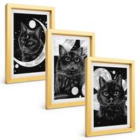 BILDER SET 3er Set - 20x30 cm Goldrahmen - Schwarze Katzen, Mond, Weltraum - Goldfarben, Kunststoff (20/30cm) - TULUP