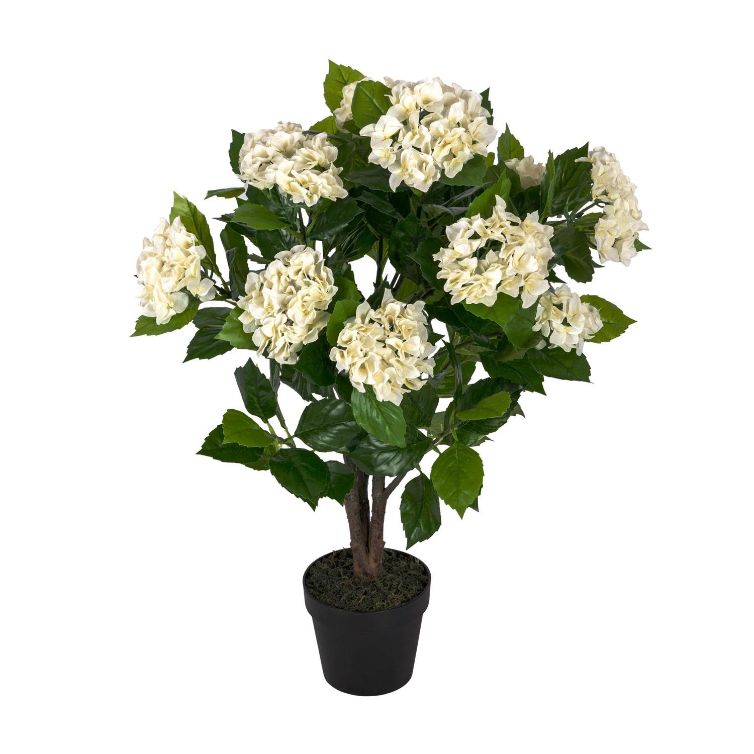 KUNSTBLUME Hortensien creme, 85 cm - Creme, Kunststoff (85cm) - Homescapes