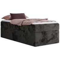 BOXBETT ZERO 90/200 - Dunkelgrau Plüsch - H4 - Topper T25 - Dunkelgrau, Textil (90/200cm) - MKS