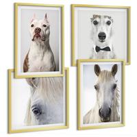 BILDER SET 4er Set - 50x50 cm & 40x60 cm Goldrahmen - Elegante Porträts von Hunden und Pferden - Goldfarben, Kunststoff (50/50cm) - TULUP