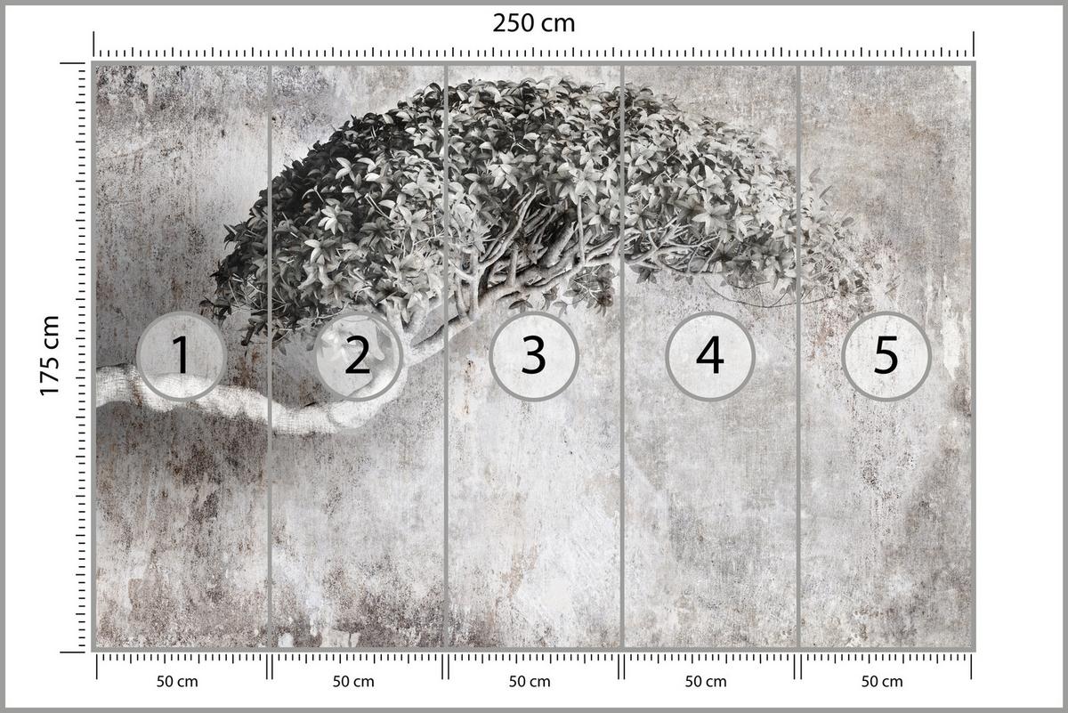 FOTOTAPETE Abstrakter Baum Beton 3D Effekt 250x175 - Schwarz/Grau, Papier (250/175cm) - Muralo