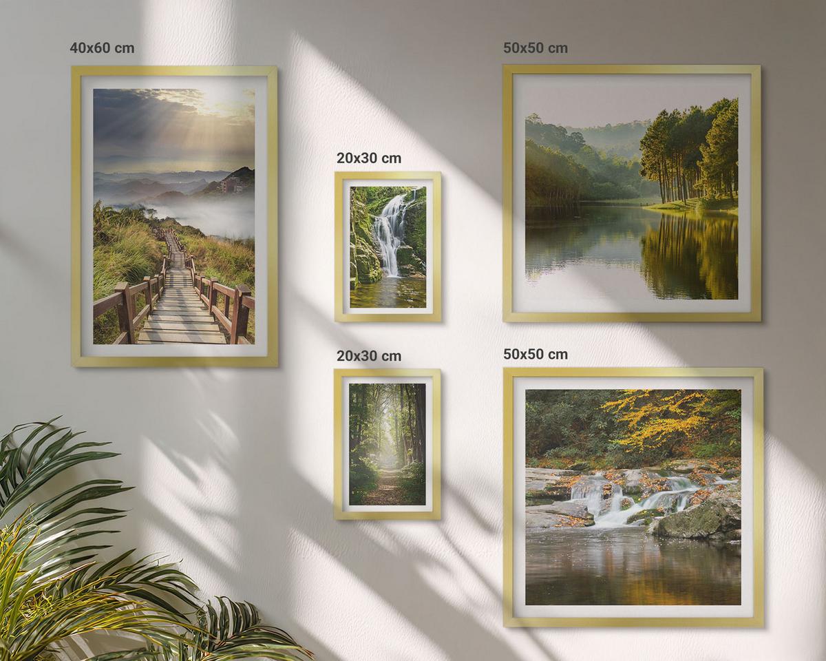 BILDER SET 5er Set - 50x50 cm & 20x30 cm & 40x60 cm Goldrahmen - Grüne Blätter von eleganten Sukkulenten - Goldfarben, Kunststoff (40/60cm) - TULUP