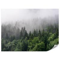 FOTOTAPETE für Wohnzimmer Nadelbäume Nebelwald Grün 350x256 - Grau/Grün, Papier (350/256cm) - Muralo