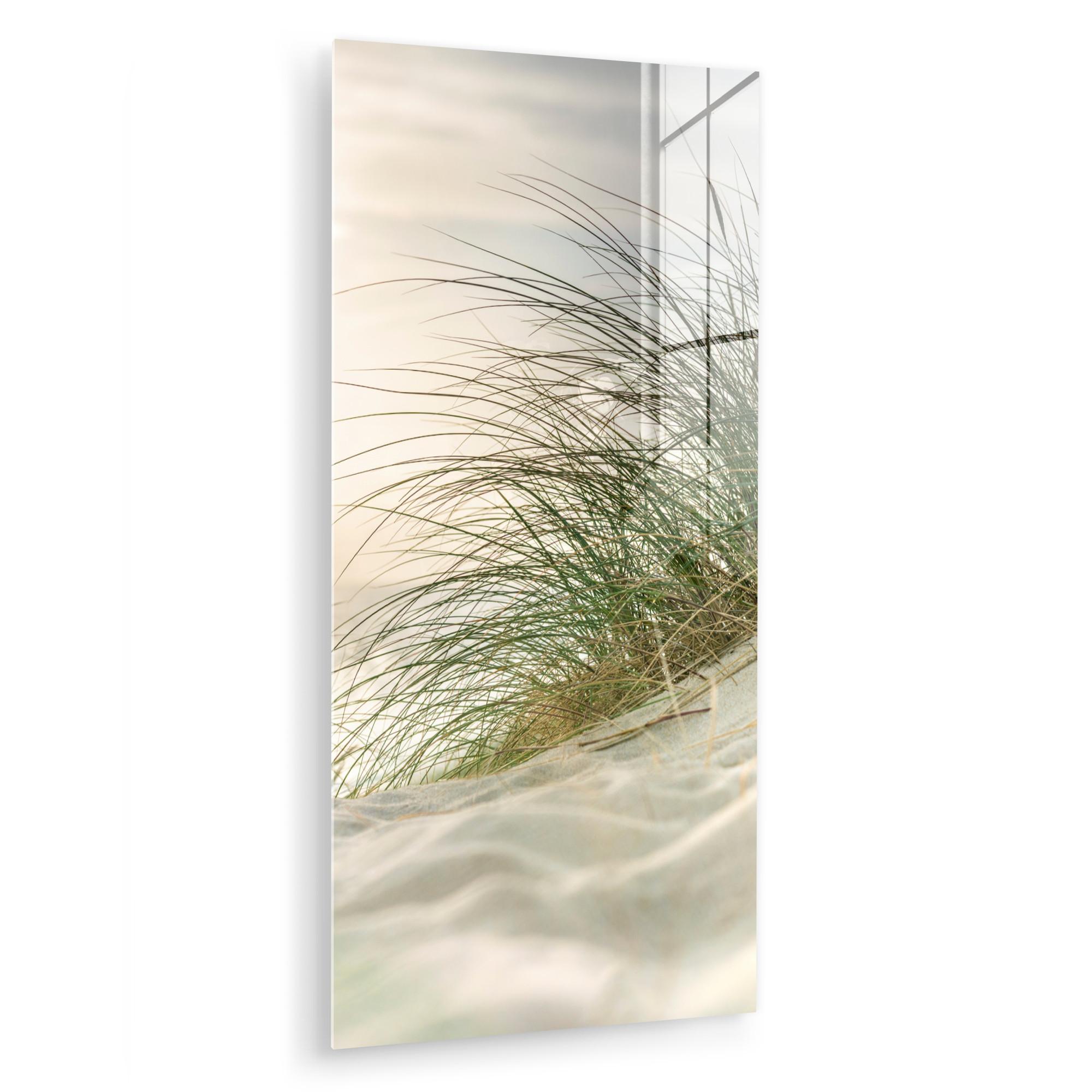 ACRYLGLASBILD Dünen mit Strandhafer in der Sonne des Nationalparks Schleswig-Holsteinisches Wattenmeer 60x120 cm - Creme, Glas (60/120cm) - MuchoWow