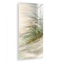 ACRYLGLASBILD Dünen mit Strandhafer in der Sonne des Nationalparks Schleswig-Holsteinisches Wattenmeer 60x120 cm - Creme, Glas (60/120cm) - MuchoWow