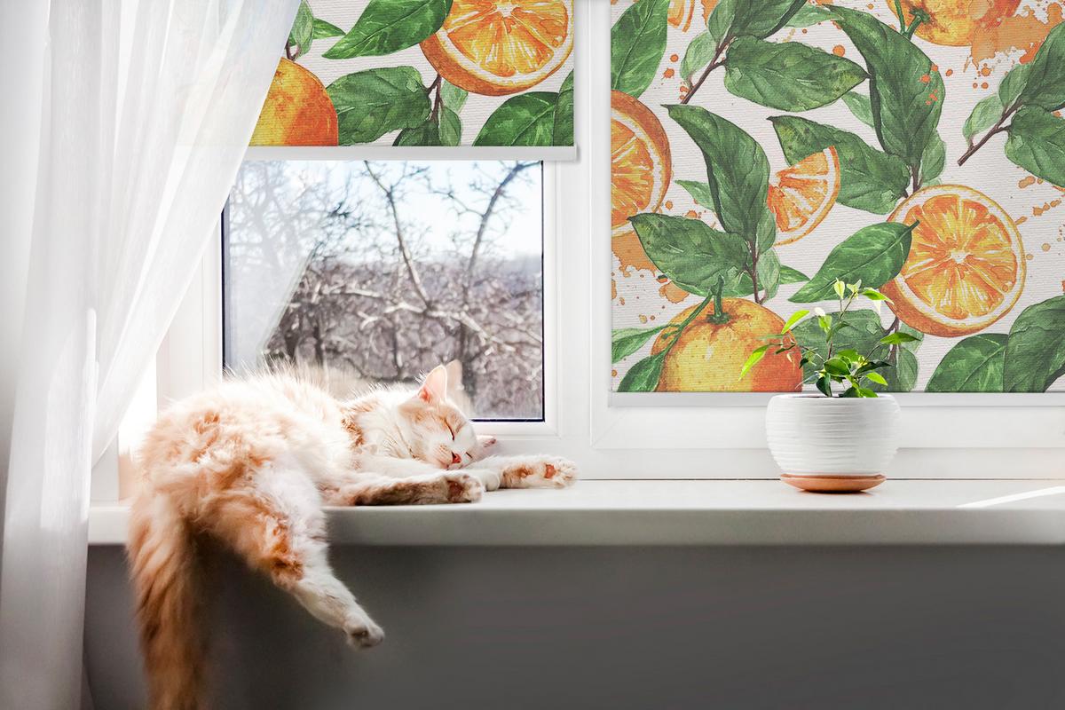 INNENROLLO - Fensterrollo - Rollo - 150x140 cm - Orangen und Blätter - Orange, Kunststoff (150/140/0.5cm) - TULUP