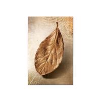 KUNSTDRUCK Gold 60/90 cm - Goldfarben/Braun, Textil (60/90cm) - KUNSTLOFT