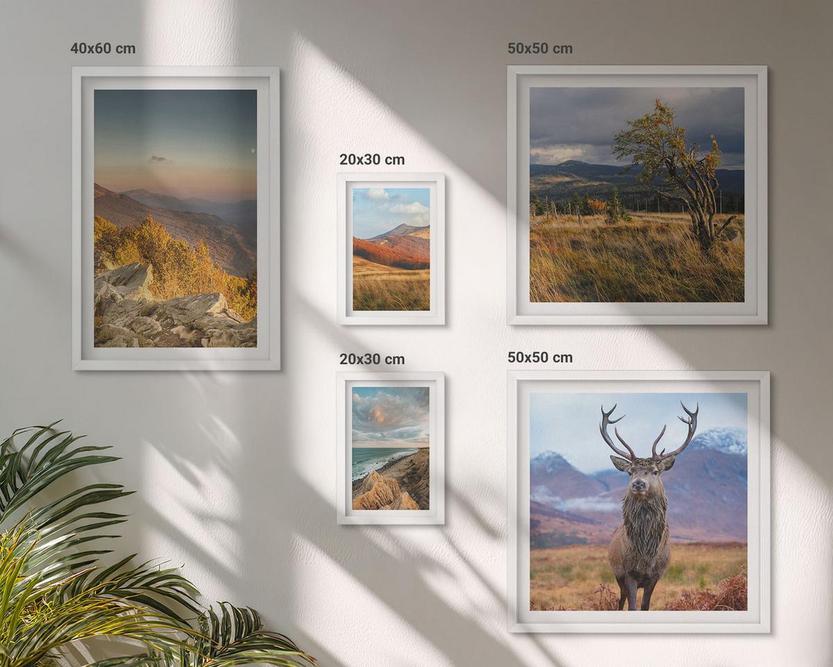 BILDER SET 5er Set - 50x50 cm & 20x30 cm & 40x60 cm Weißer Rahmen - Berglandschaften, Hirschgras - Weiß, Kunststoff (40/60cm) - TULUP