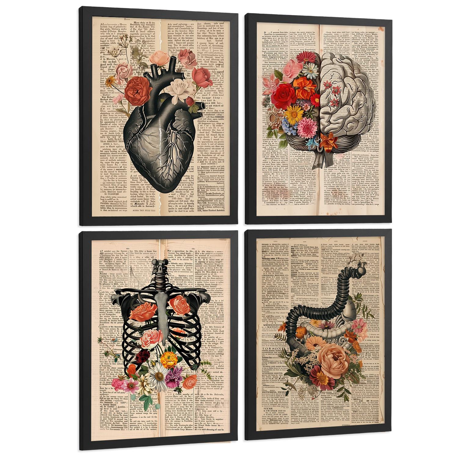 POSTER Set aus 4 Anatomie Drucke und Wandbilder mit Herz Gehirn Skelett und Darm Antiker Hintergrund Wanddekoration Größe Schwarzer Rahmen A3 - Schwarz, Papier (29.7/42/3cm) - Nacnic