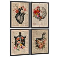 POSTER Set aus 4 Anatomie Drucke und Wandbilder mit Herz Gehirn Skelett und Darm Antiker Hintergrund Wanddekoration Größe Schwarzer Rahmen A3 - Schwarz, Papier (29.7/42/3cm) - Nacnic