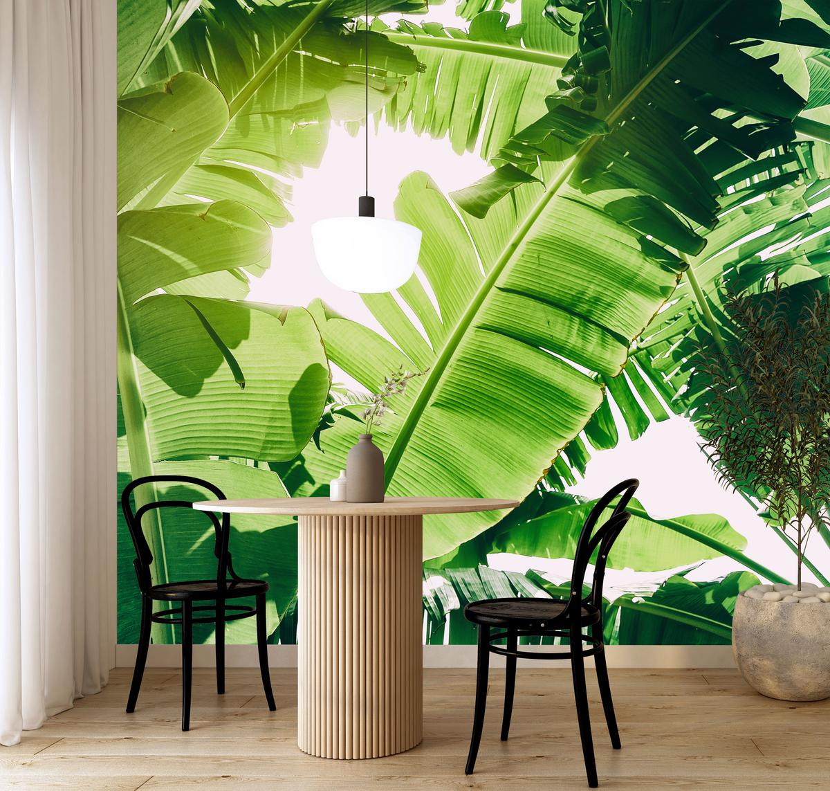 FOTOTAPETE für Wohnzimmer Bananenpflanze Grüne Blätter Tropisch 400x280 - Weiß/Grün, Papier (400/280cm) - Muralo
