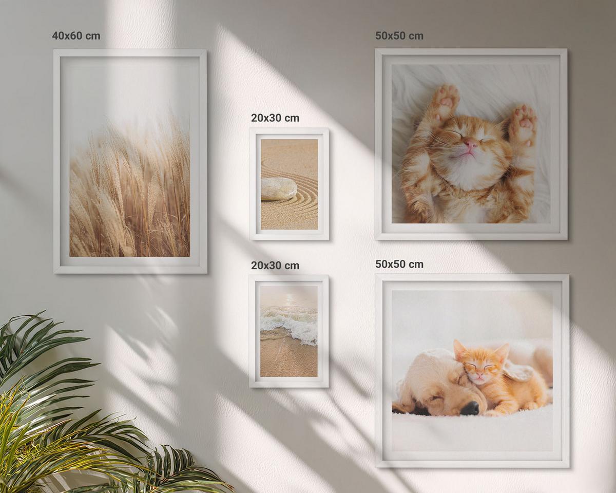 BILDER SET 5er Set - 50x50 cm & 20x30 cm & 40x60 cm Weißer Rahmen - Niedliche Tiere, Katzen, Hunde, Strand - Weiß, Kunststoff (40/60cm) - TULUP