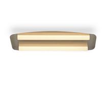LED-DECKENLEUCHTE Ursula 48/19/6 cm - Grau, Metall (48/19/6cm) - Nettlife