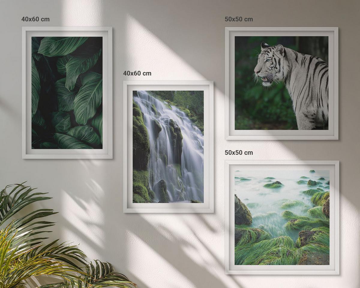 BILDER SET 4er Set - 50x50 cm & 40x60 cm Weißer Rahmen - Blätter des Weißen Tigerwasserfalls - Weiß, Kunststoff (50/50cm) - TULUP