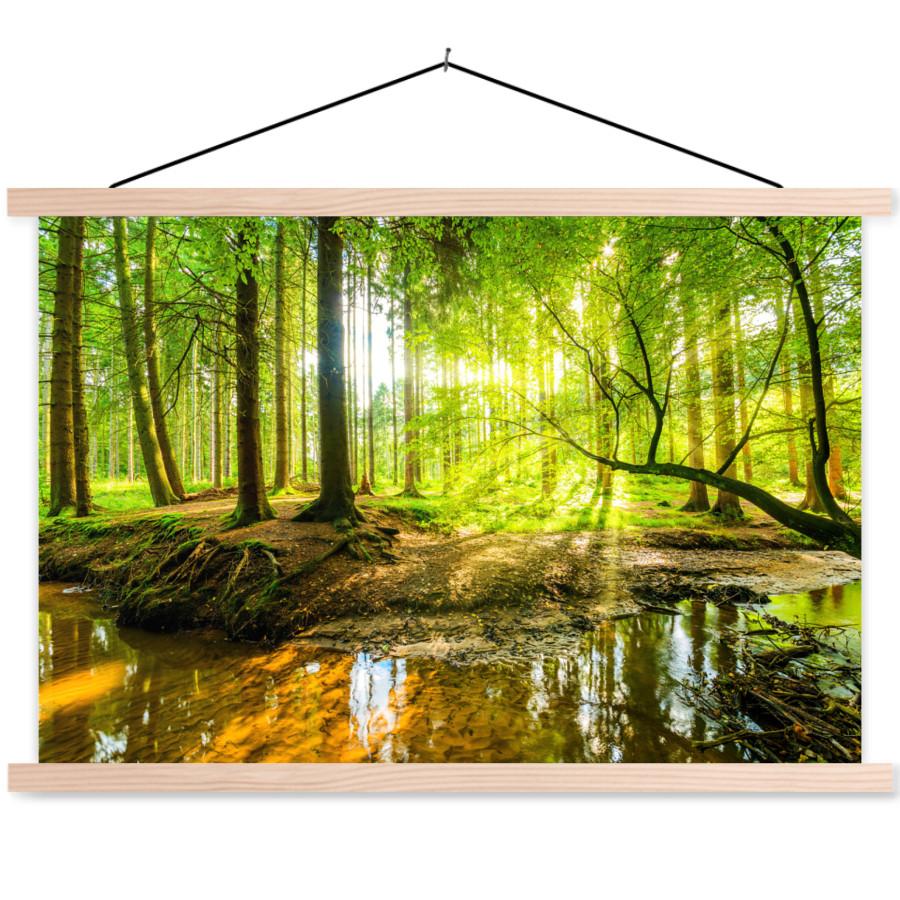 POSTER MIT MAGNETLEISTEN Wald - Landschaft - Wasser - Bäume - Sonne - Grün - Natur Wanddeko 90x60 cm - Grün, Textil (90/60/0.15cm) - MuchoWow