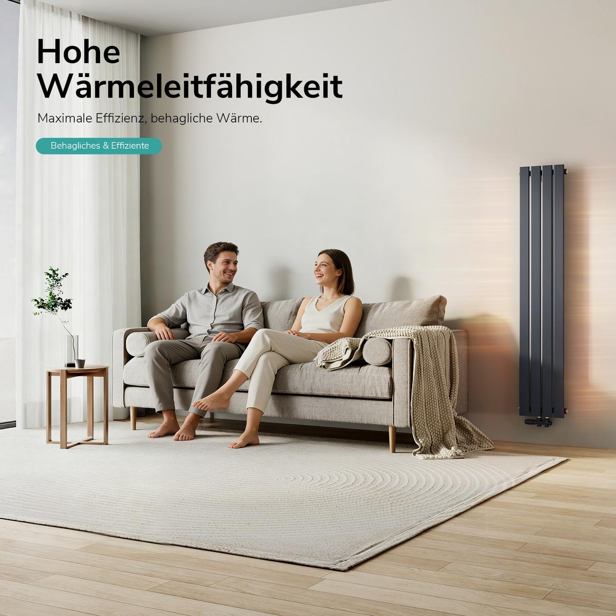 HEIZKÖRPER Anthrazit 160/30/4,9 cm - Anthrazit, Metall (30/160/5cm) - EMKE