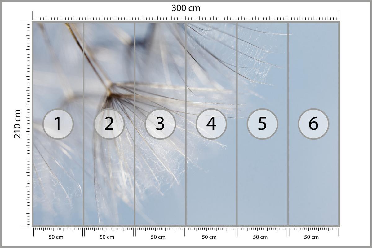 FOTOTAPETE für Schlafzimmer Zarte Löwenzahnblüten im Wind 300x210 - Braun/Weiß, Papier (300/210cm) - Muralo