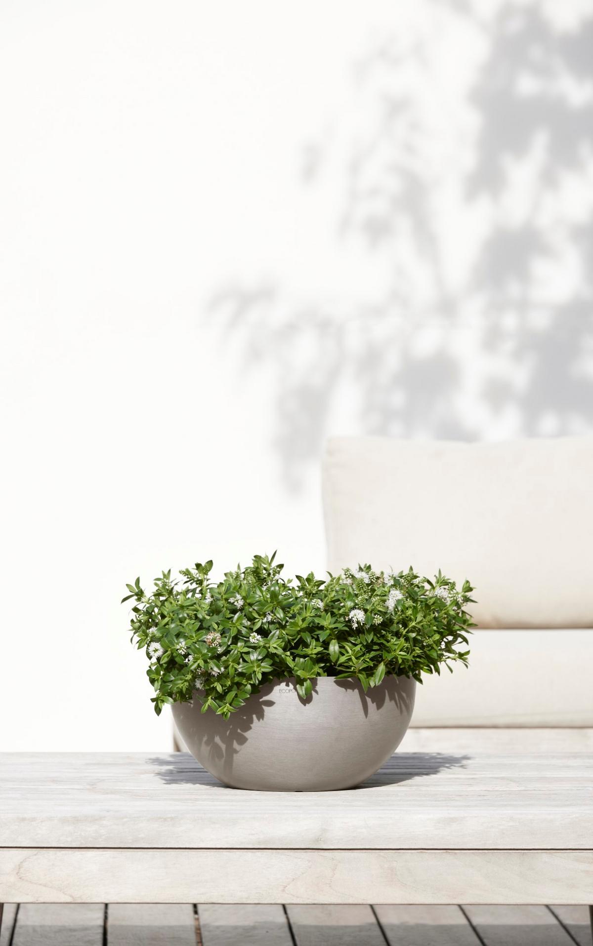 BLUMENTOPF Brussels 30/14,8 cm Taupe - Taupe, Kunststoff (30/14.8cm) - Ecopots