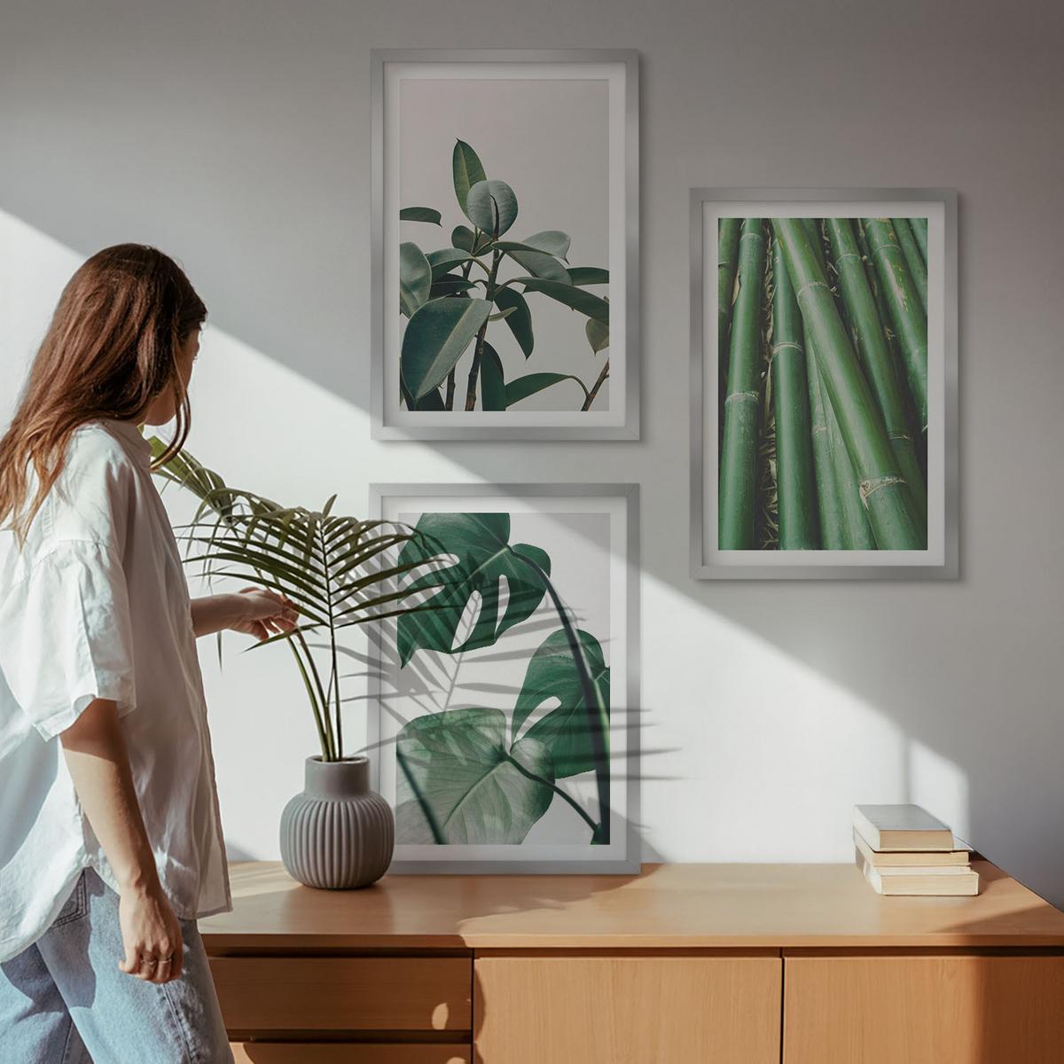 BILDER SET 3er Set - 40x60 cm Silberner Rahmen - Bambusstängel und Monstera-Blätter - Silberfarben, Kunststoff (40/60cm) - TULUP