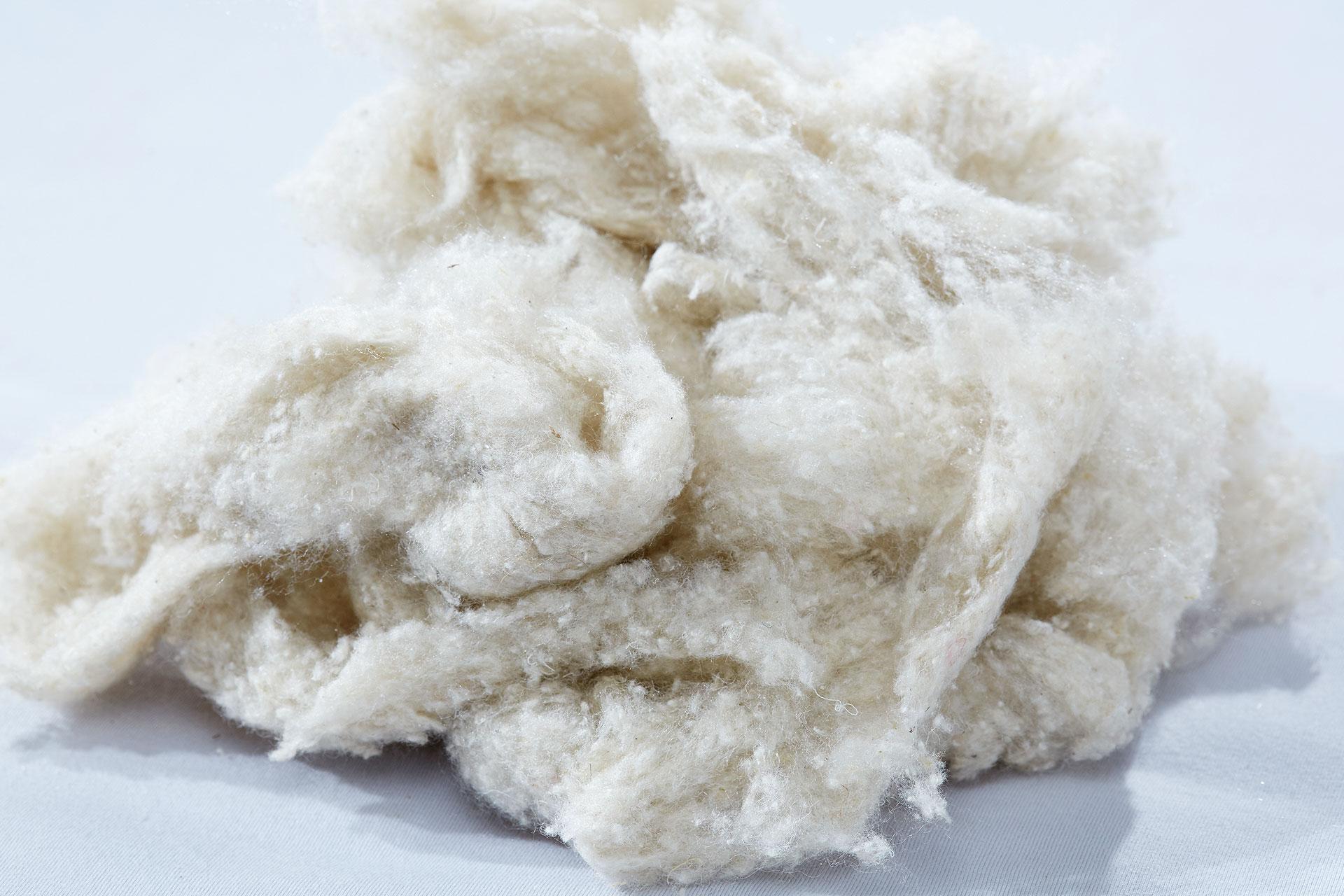 Bettwaren mit Naturfaser-Fuellung von moemax.jpg