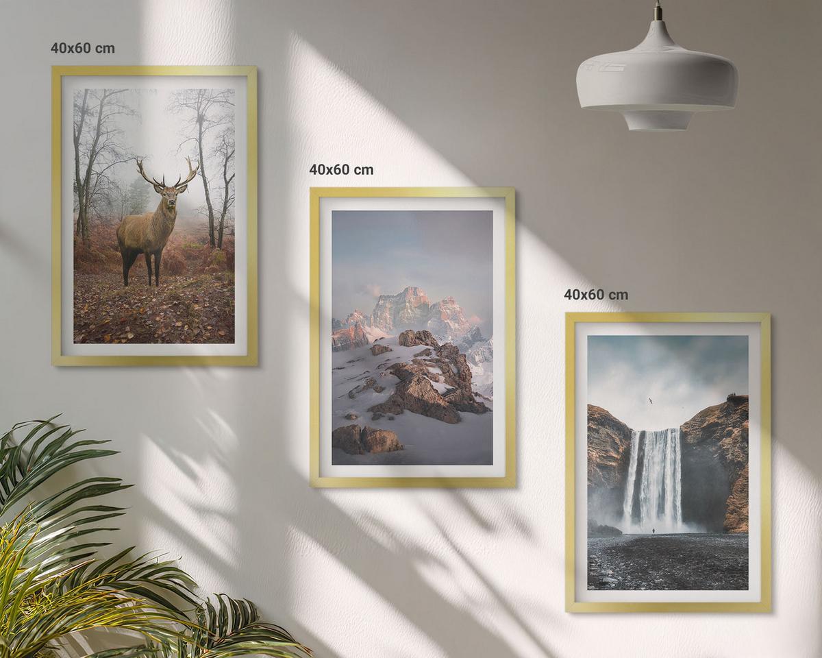 BILDER SET 3er Set - 40x60 cm Goldrahmen - Wilde Berglandschaften - Goldfarben, Kunststoff (40/60cm) - TULUP