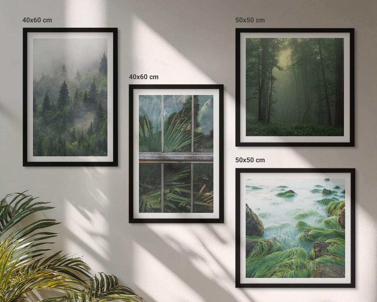 BILDER SET 4er Set - 50x50 cm & 40x60 cm Schwarzer Rahmen - Waldnebel, Fluss, Gewächshauspflanzen - Schwarz, Kunststoff (50/50cm) - TULUP