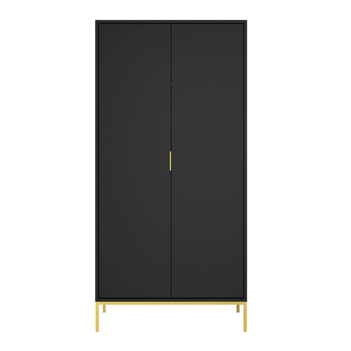 SCHRANK 2 Türen Seattle Schwarz - Schwarz, Holzwerkstoff (100/205.4/55cm) - Petits-meubles