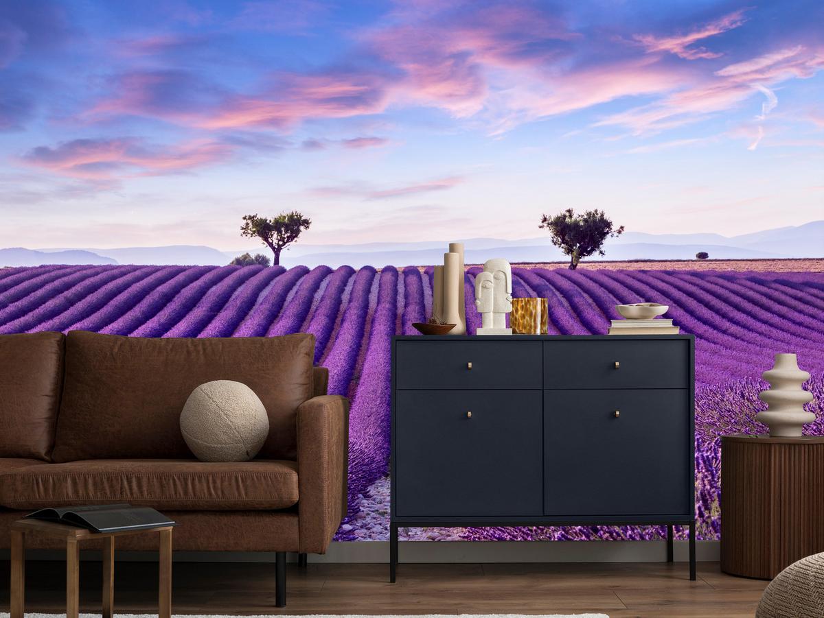 FOTOTAPETE für Küche Lavendelfeld Lila Natur Sträucher 400x280 - Blau/Violett, Papier (400/280cm) - Muralo