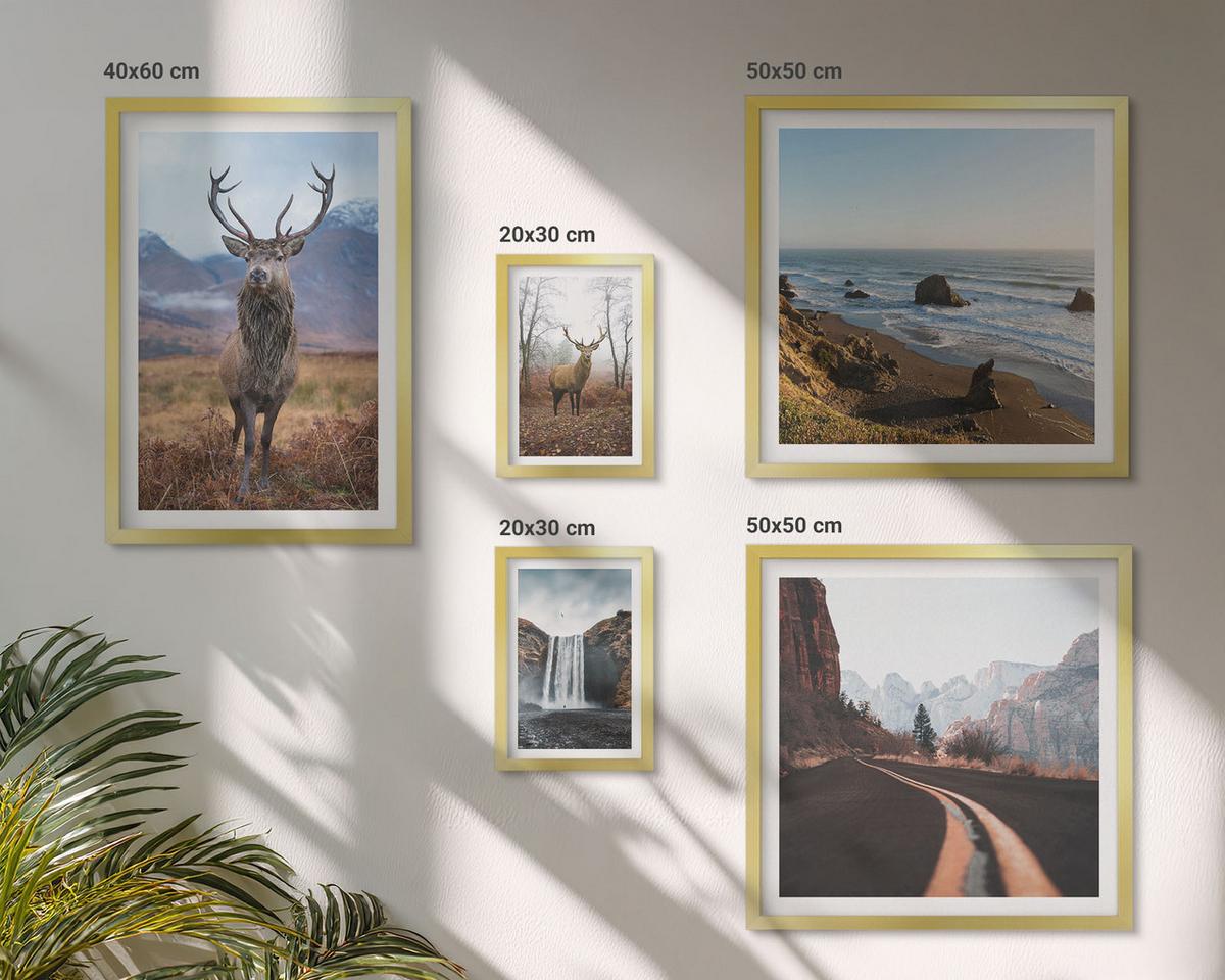 BILDER SET 5er Set - 50x50 cm & 20x30 cm & 40x60 cm Goldrahmen - Berglandschaften, Wasserfälle, Hirsche, Strände - Goldfarben, Kunststoff (40/60cm) - TULUP