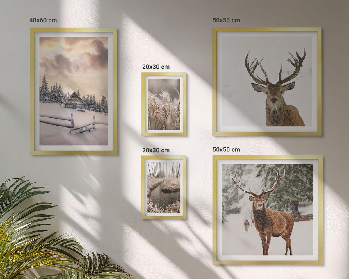 BILDER SET 5er Set - 50x50 cm & 20x30 cm & 40x60 cm Goldrahmen - Winterlandschaft mit Hirschen - Goldfarben, Kunststoff (40/60cm) - TULUP