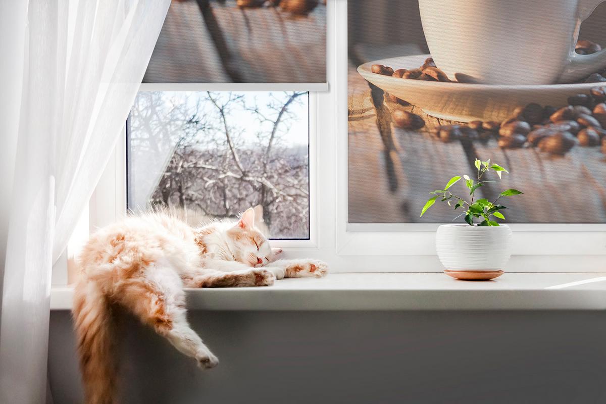 INNENROLLO - Fensterrollo - Rollo - 60x40 cm - Tasse Kaffee - Braun, Kunststoff (60/140/0.5cm) - TULUP