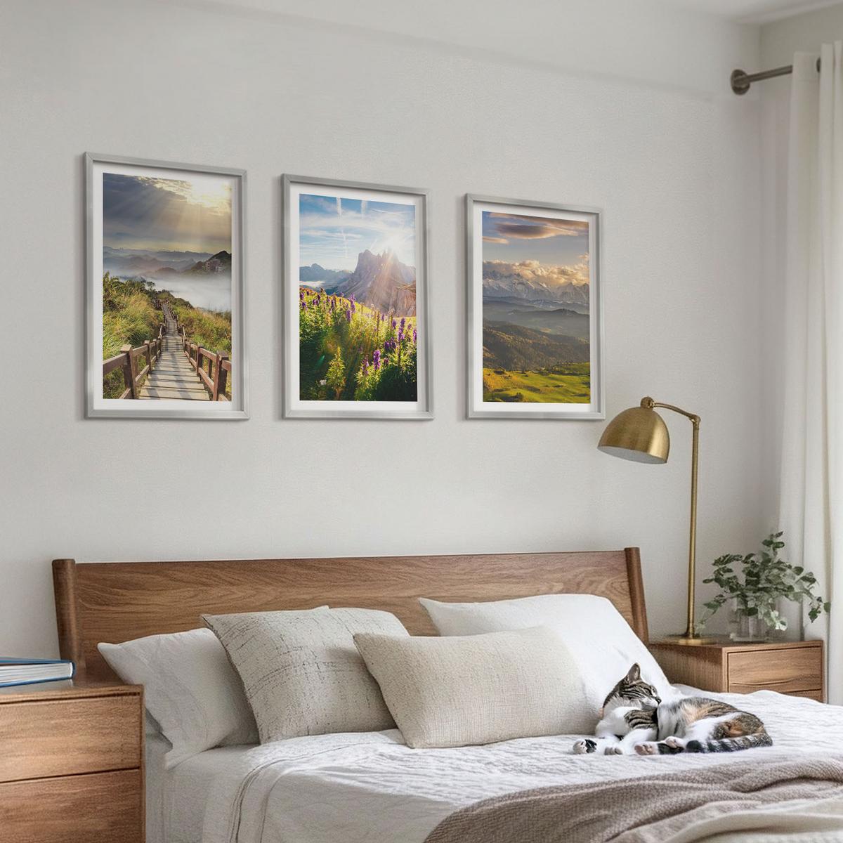 BILDER SET 3er Set - 40x60 cm Silberner Rahmen - Berglandschaft mit Blumen - Silberfarben, Kunststoff (40/60cm) - TULUP