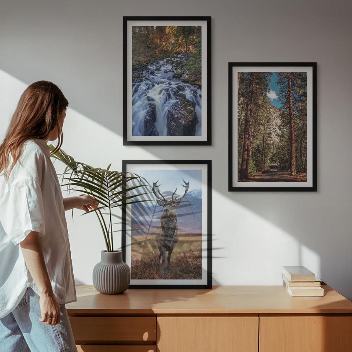 BILDER SET 3er Set - 40x60 cm Schwarzer Rahmen - Wasserfall Wald Berge Hirsch Natur - Schwarz, Kunststoff (40/60cm) - TULUP