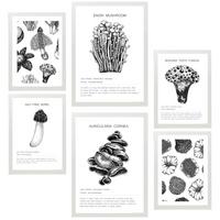 POSTER Set Mit 6 Komposition Aus Schwarzen & Weißen Pilzen & Homgos A3 & A4 Weißer Rahmen - Weiß, Papier (29/3cm) - Nacnic