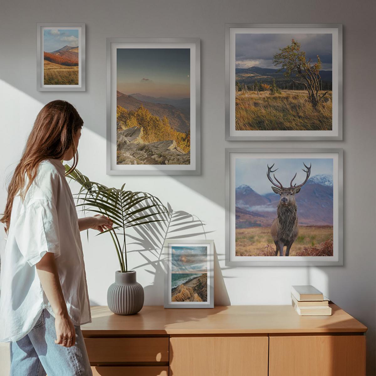 BILDER SET 5er Set - 50x50 cm & 20x30 cm & 40x60 cm Silberner Rahmen - Berglandschaften, Hirschgras - Silberfarben, Kunststoff (40/60cm) - TULUP