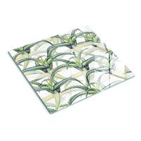 GLASPLATTE 60x52 cm Aloe - Grün, Glas (60/0.4/52cm) - TULUP