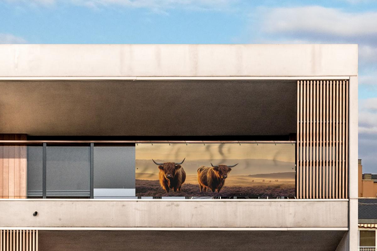 BALKON-SICHTSCHUTZ Schottische Hochlandbewohner - Heide - Landschaft - Tiere Balkon Deko 300x110 cm - Cognac, Kunststoff (300/110cm) - MuchoWow