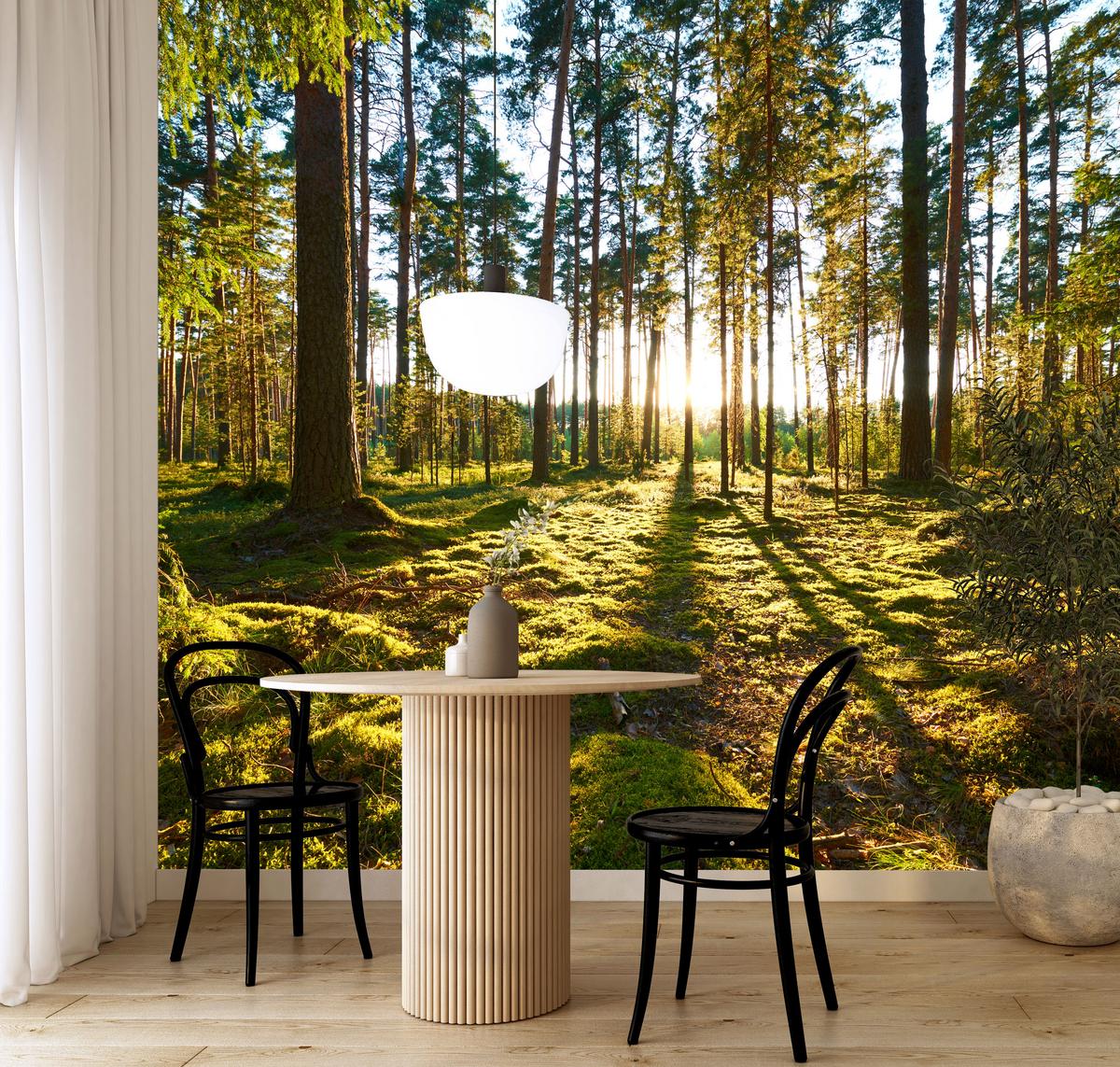 FOTOTAPETE für Küche Sonnenaufgang WALD Moss Bäume Sonnenstrahl 150x105 - Gelb/Braun, Papier (150/105cm) - Muralo