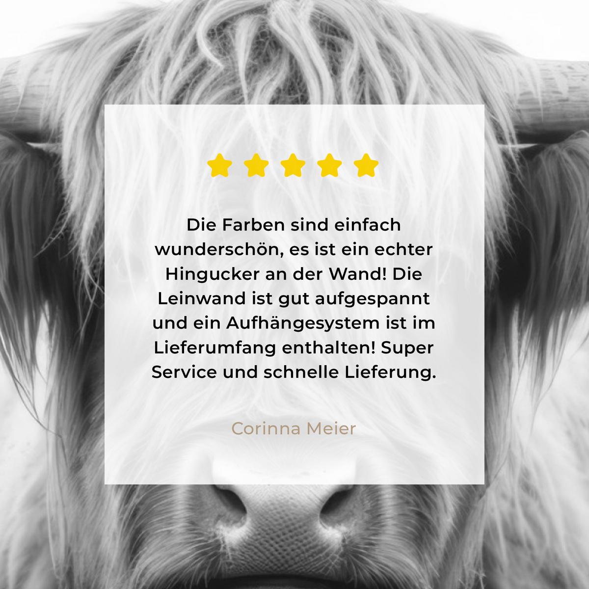 LEINWANDBILD Schottischer Highlander - Nebel - Schwarz - Weiß Wandbilder 80x60 cm - Grau, Textil (80/60cm) - MuchoWow