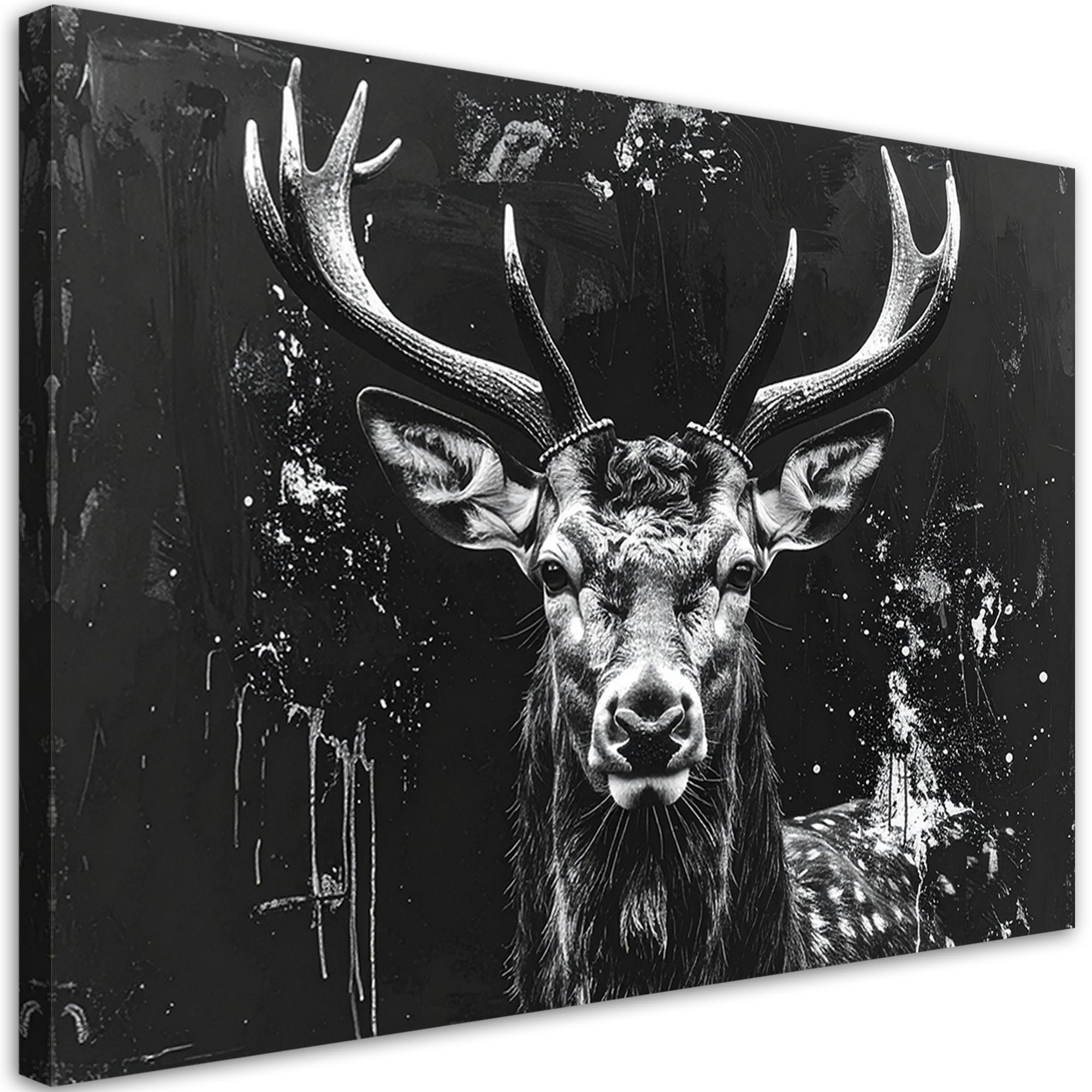 LEINWANDBILD Tiere 60x40cm - Schwarz, Textil (60/40cm) - Feeby