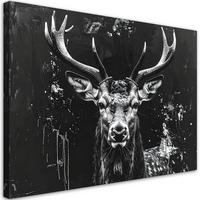 LEINWANDBILD Tiere 60x40cm - Schwarz, Textil (60/40cm) - Feeby