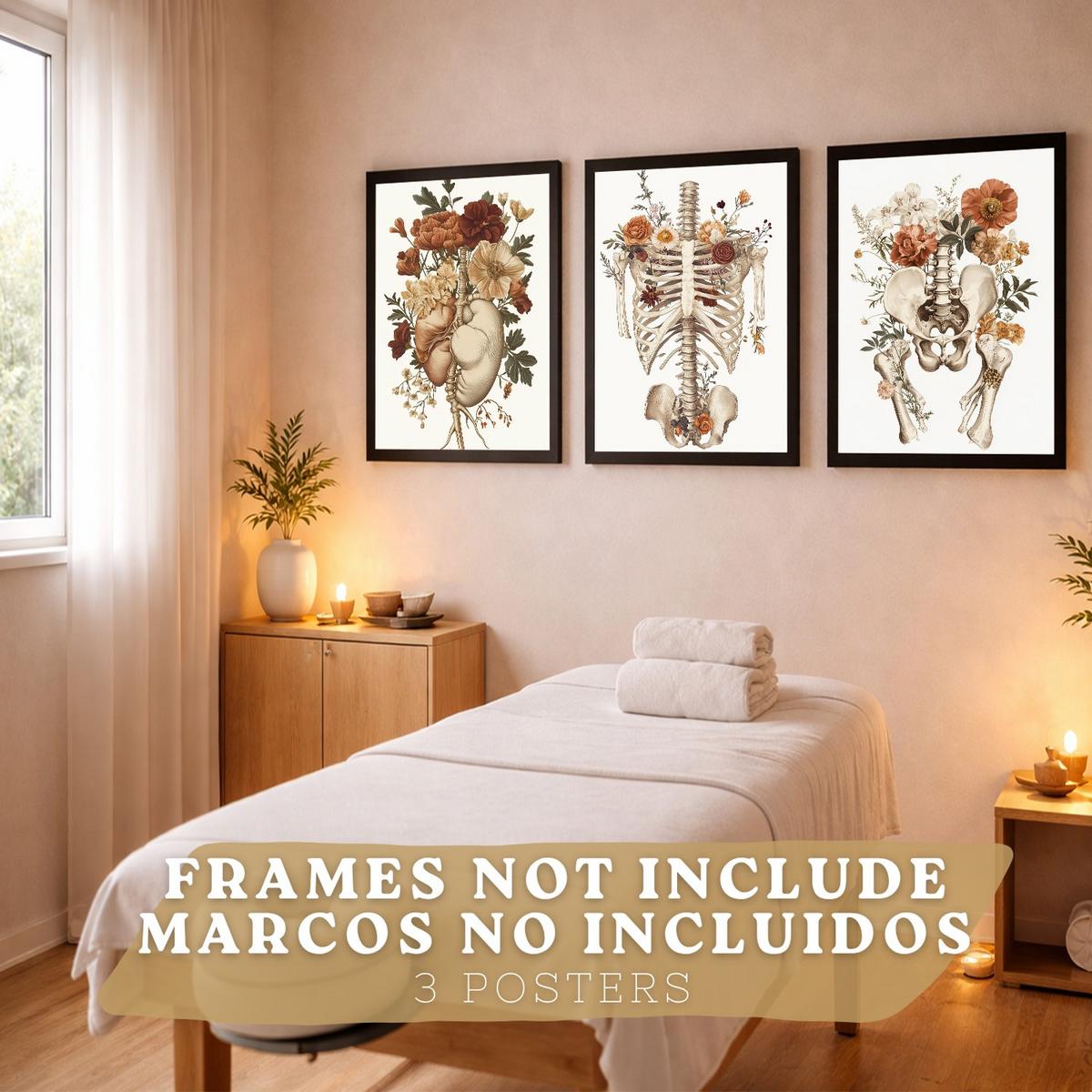 POSTER Set aus 3 Anatomie Mensch Florale Vintage Drucke und Wandbilder mit Herz Brustkorb und Becken Medizinische Wanddekoration Größe Rahmenlos A4 - Klar, Papier (21/29.7/3cm) - Nacnic