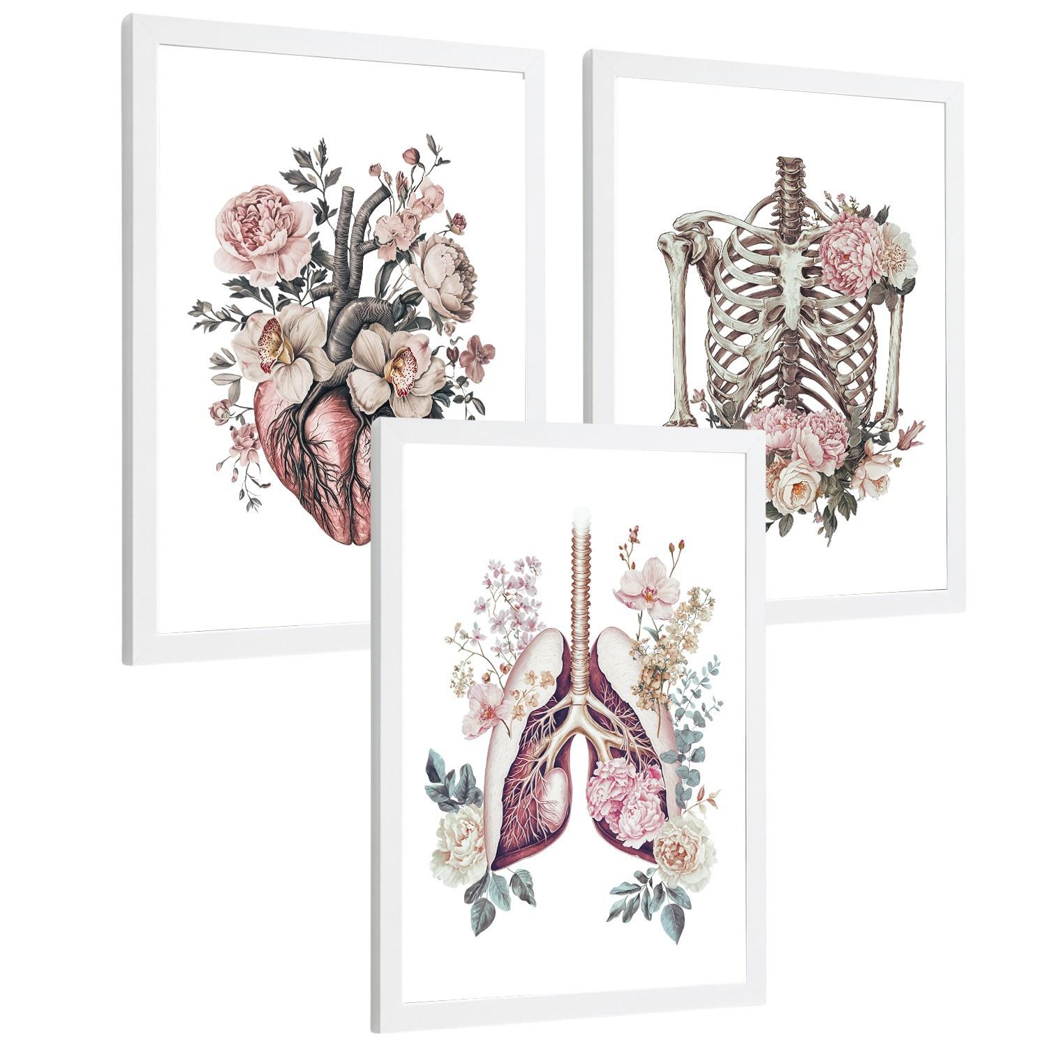 POSTER Set aus 3 Anatomie Florale Vintage Drucke und Wandbilder mit Herz Brustkorb und Lungen Detaillierter Illustrationsstil Größe Weißer Rahmen A3 - Weiß, Papier (29.7/42/3cm) - Nacnic