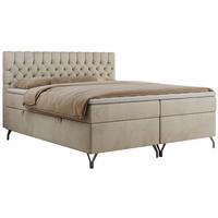 BOXBETT GRIMALDI 120/200 Beige Velvet - H4 - Beige, Holz/Textil (120/200cm) - MKS